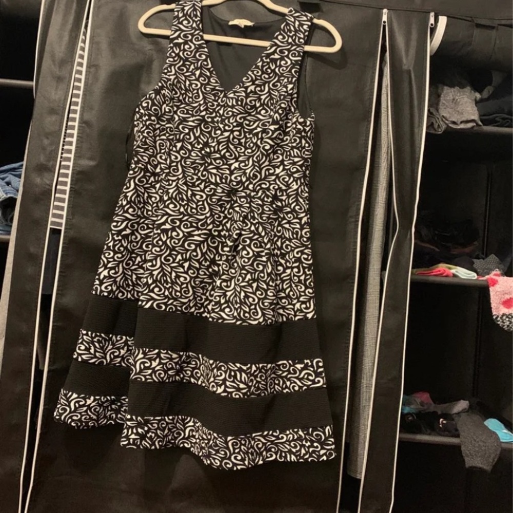 Petite Black and White Dress